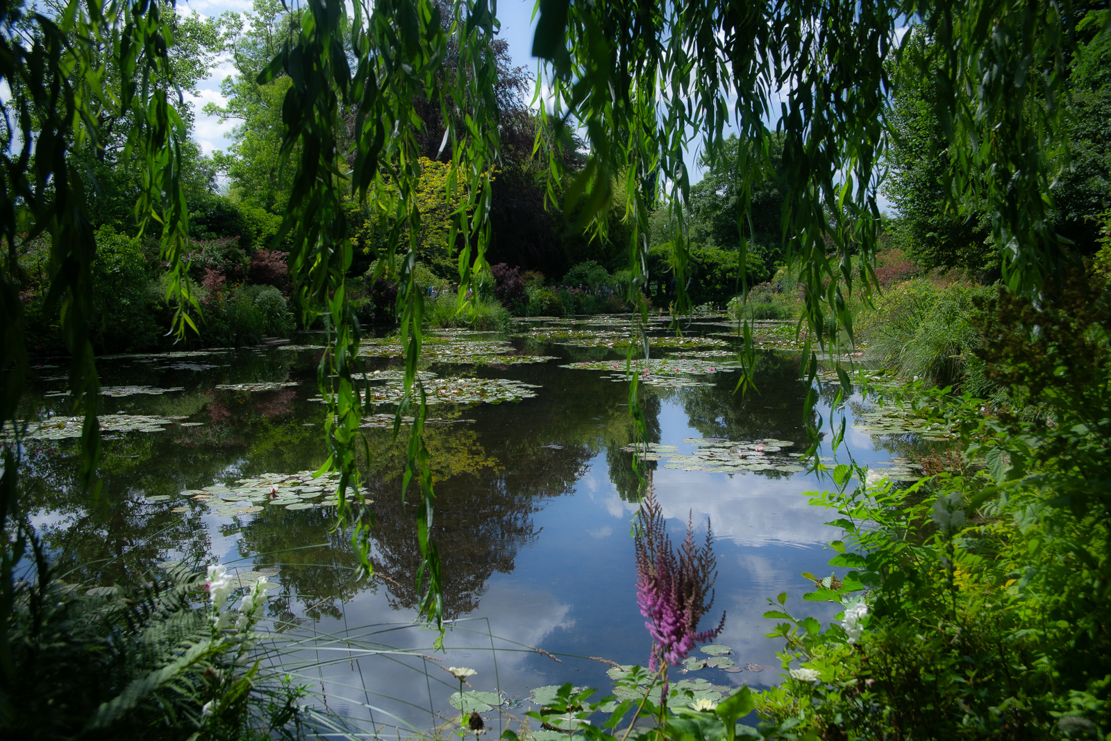 Waterlily pond and reflections at Claude Monet’s garden in Giverny