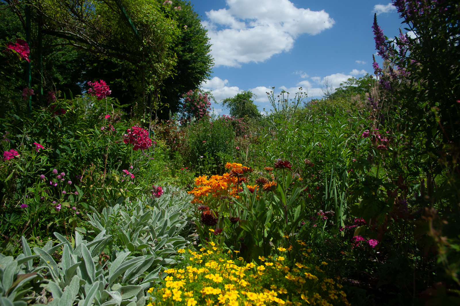 Le Jardin de Claude Monet
